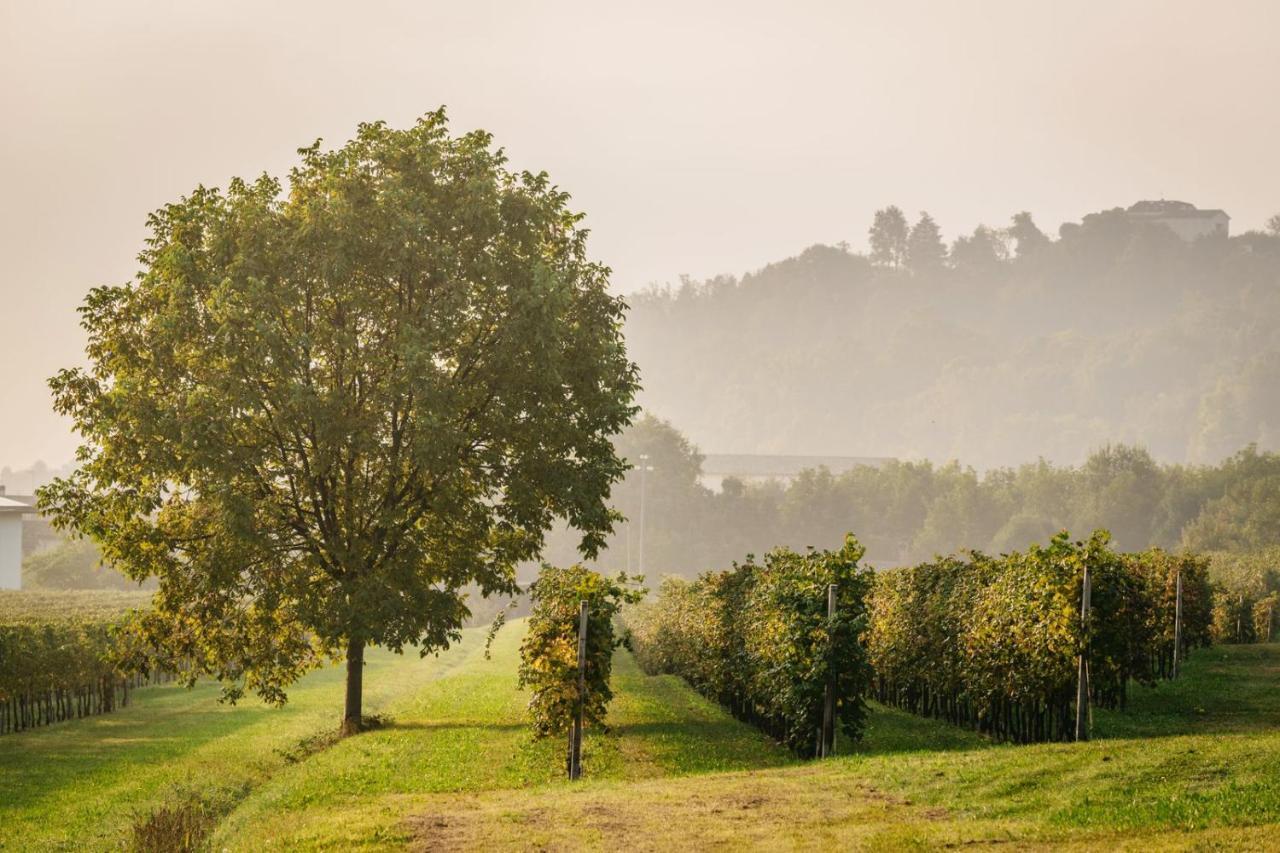 Villa Clementina - Prosecco Country Hotel San Pietro Di Feletto Extérieur photo